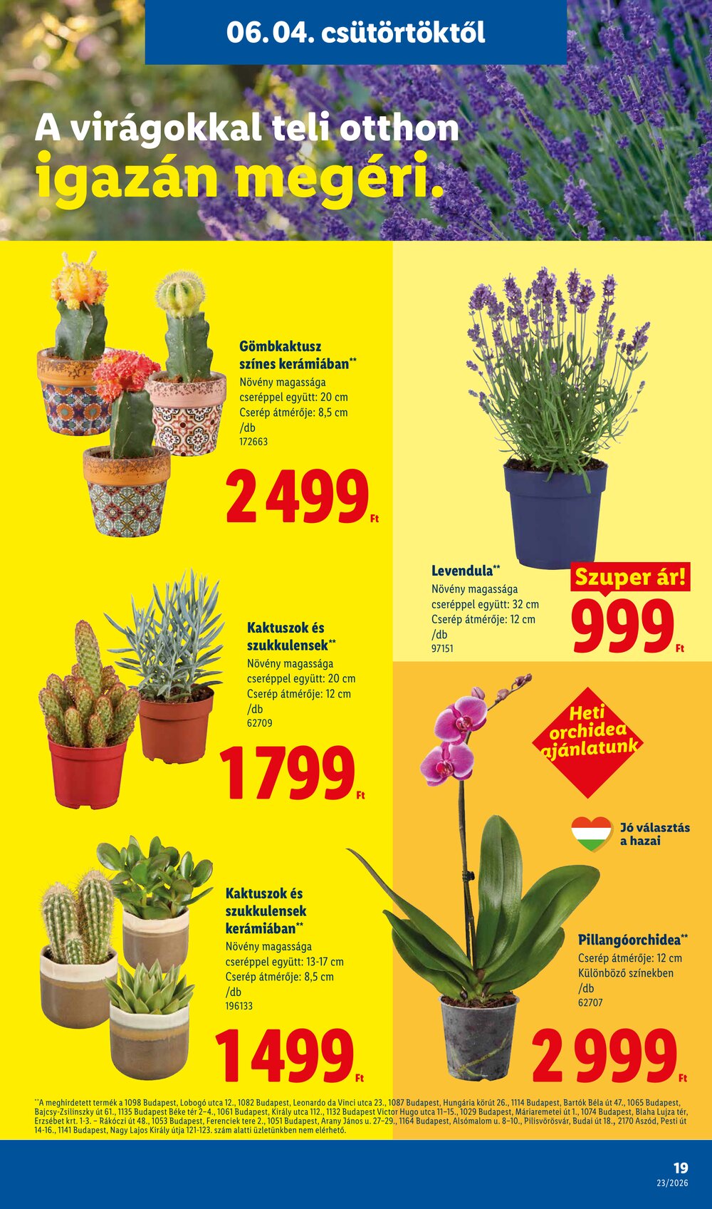 Lidl akciós újság 2026.06.04-től - 19. oldal.