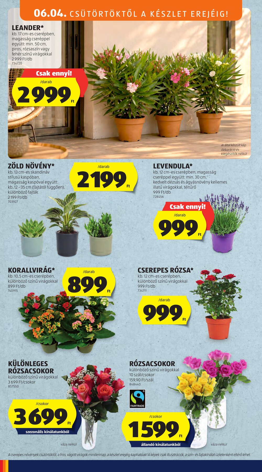 Aldi akciós újság 2026.06.04-től - 12. oldal.