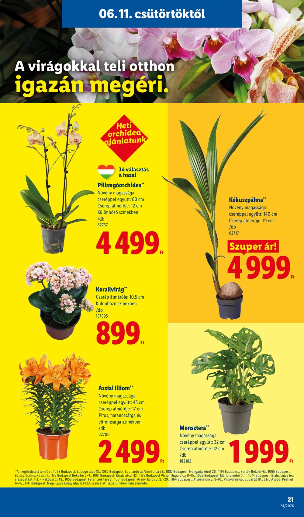 Lidl akciós újság 2026.06.11-től - 21. oldal.