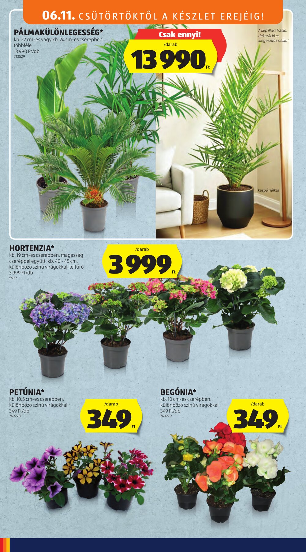 Aldi akciós újság 2026.06.11-től - 34. oldal.