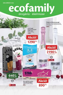 EcoFamily akciós újság 2026.06.15-től