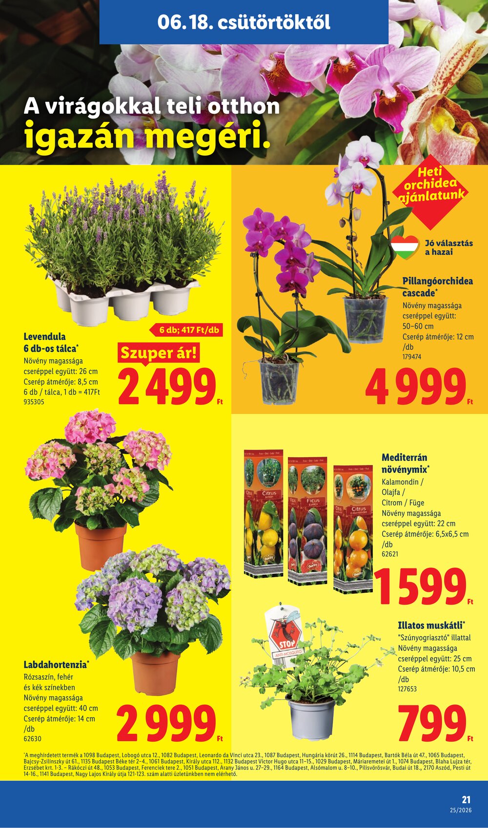 Lidl akciós újság 2026.06.18-tól - 21. oldal.