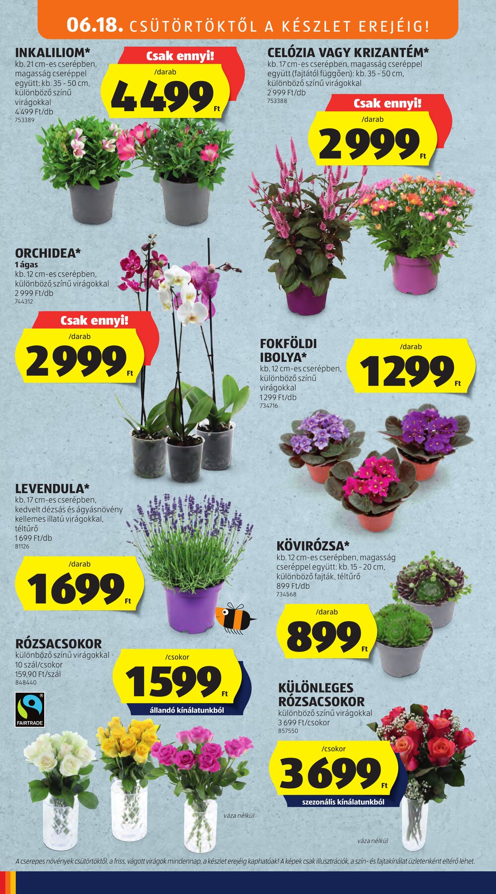 Aldi akciós újság 2026.06.18-tól - 34. oldal.