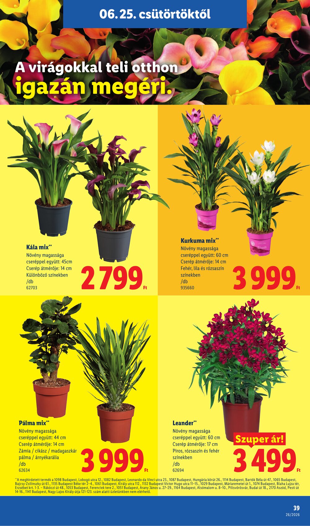 Lidl akciós újság 2026.06.25-től - 39. oldal.