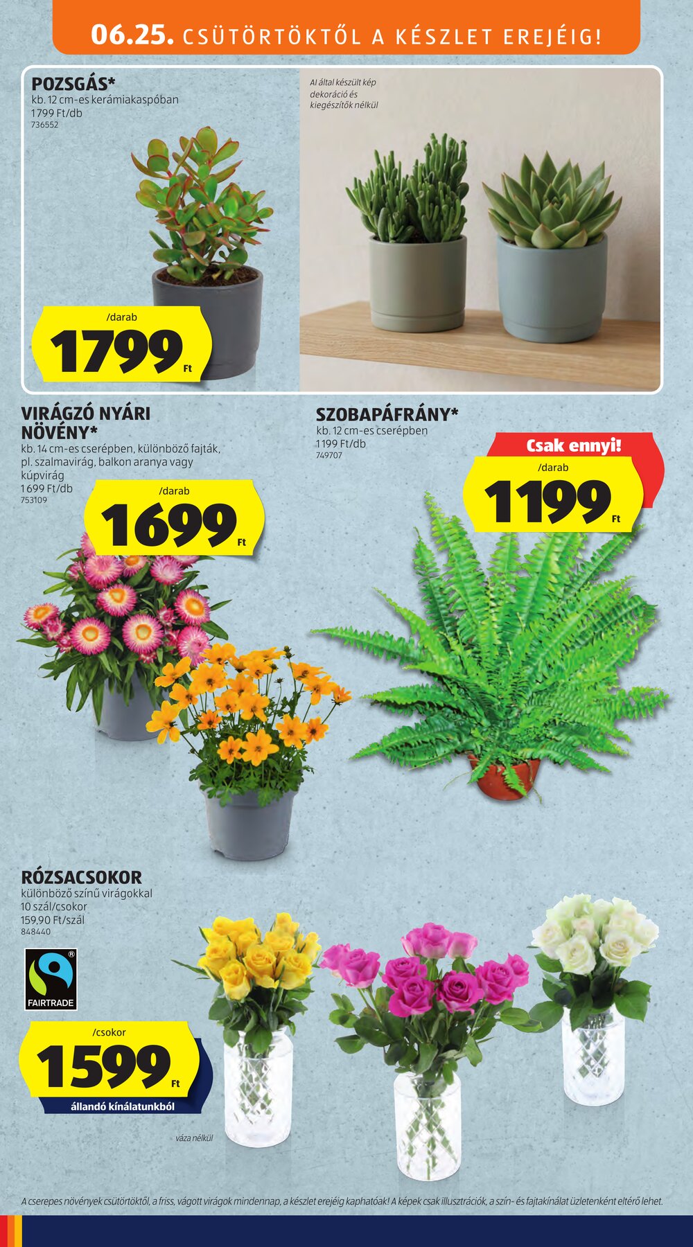 Aldi akciós újság 2026.06.25-től - 6. oldal.