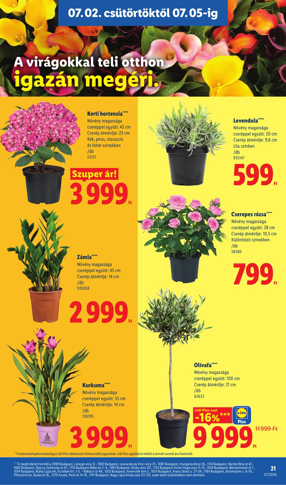 Lidl akciós újság 2026.07.02-től - 21. oldal.
