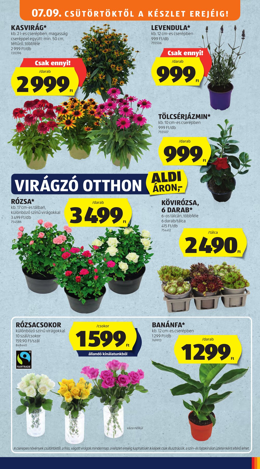 Aldi akciós újság 2026.07.09-től - 45. oldal.