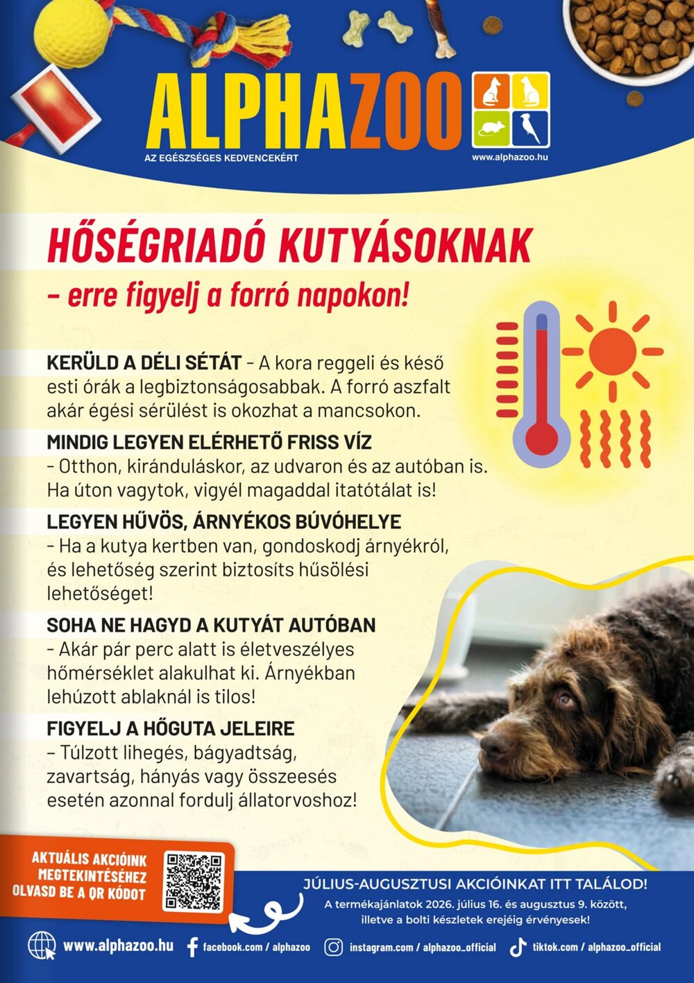 AlphaZoo akciós újság 2026.07.16-tól - 25. oldal.