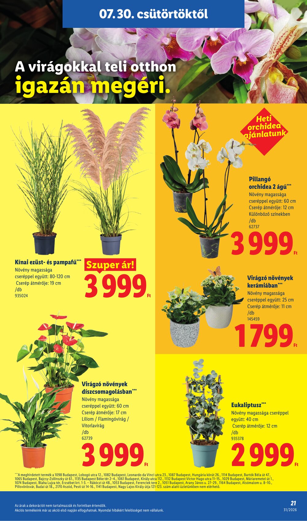 Lidl akciós újság 2026.07.30-tól - 21. oldal.