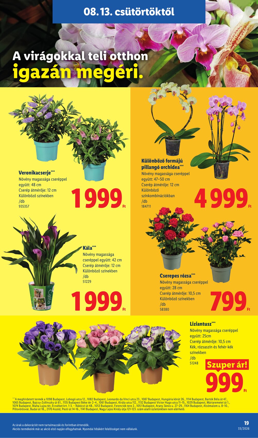 Lidl akciós újság 2026.08.13-tól - 19. oldal.