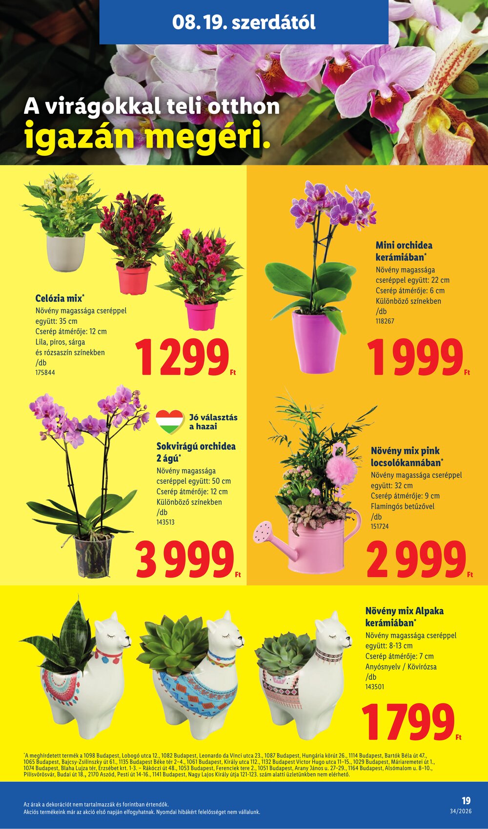 Lidl akciós újság 2026.08.19-től - 19. oldal.
