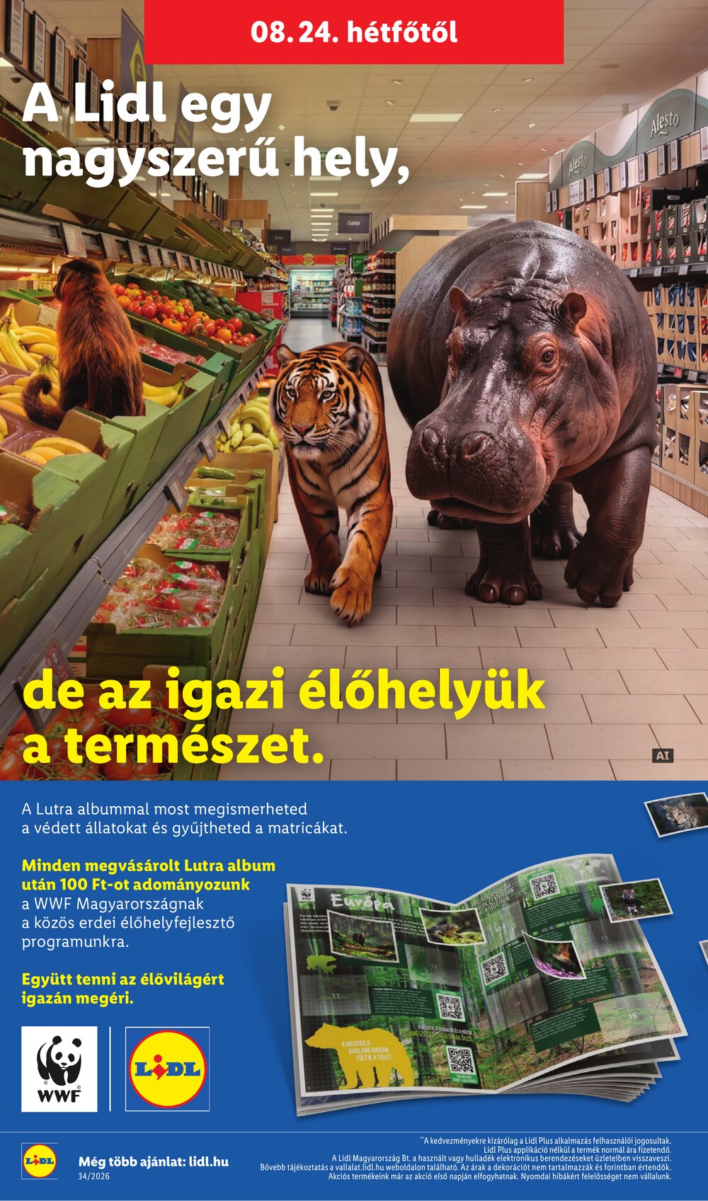 Lidl akciós újság 2026.08.19-től - 52. oldal.