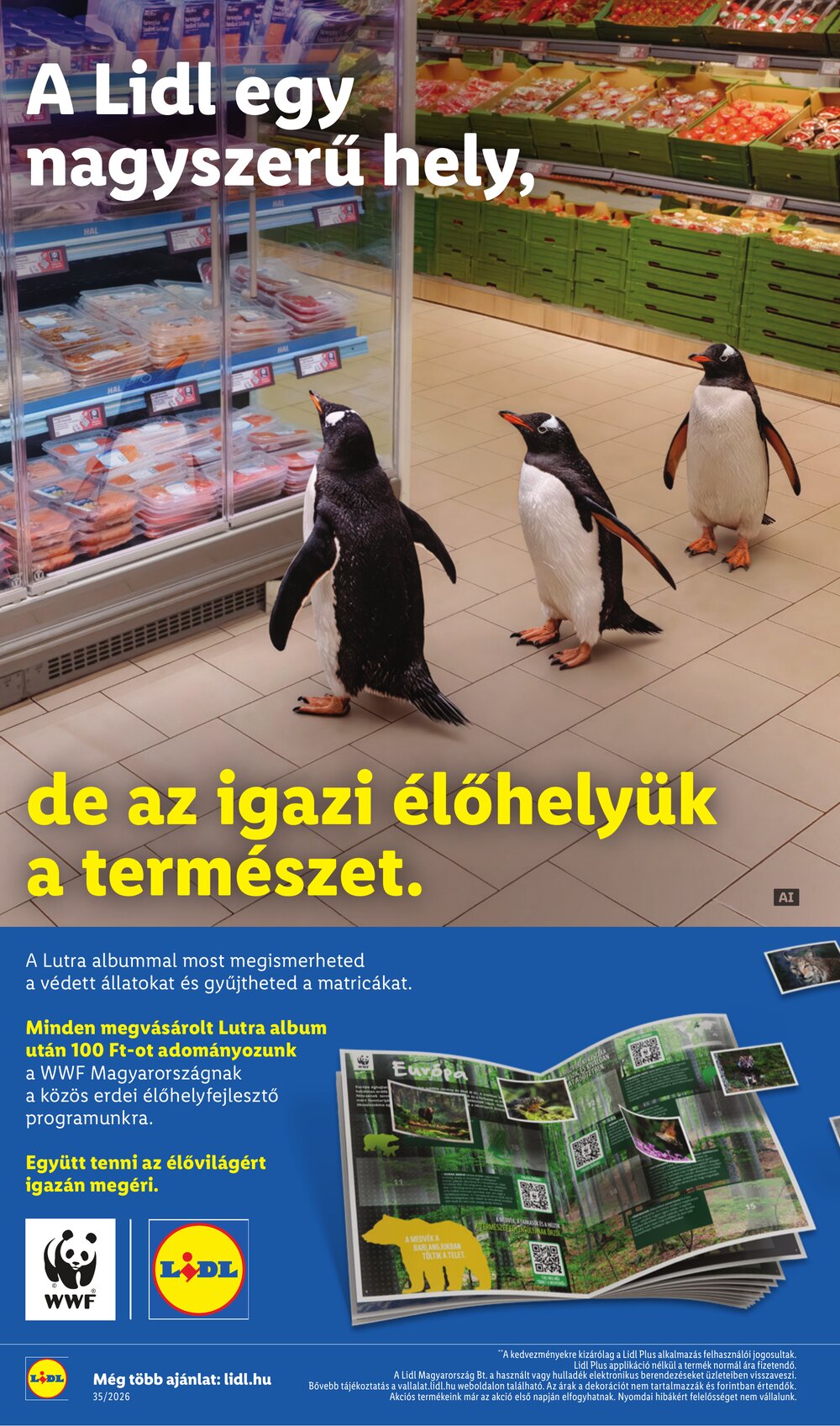 Lidl akciós újság 2026.08.27-től - 36. oldal.