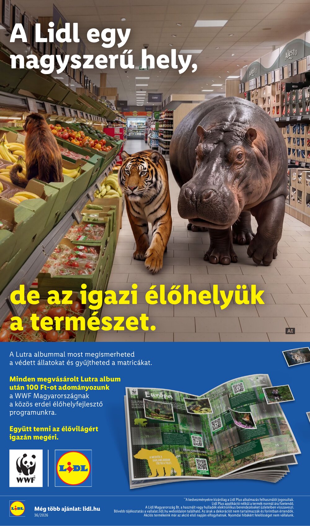 Lidl akciós újság 2026.09.03-tól - 18. oldal.