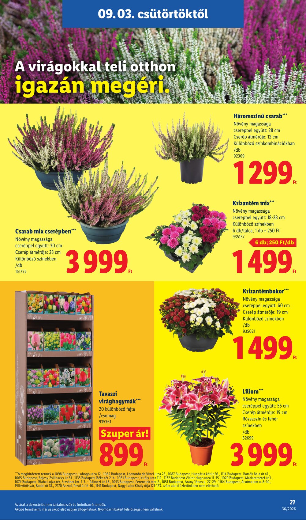 Lidl akciós újság 2026.09.03-tól - 21. oldal.