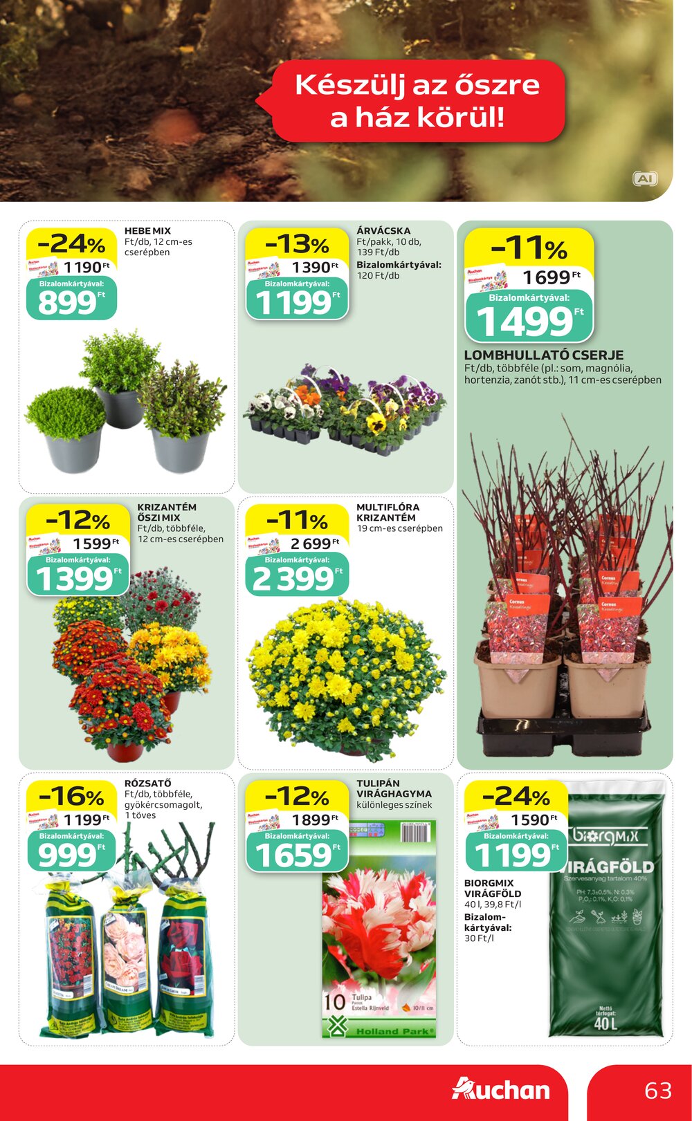 Auchan akciós újság 2026.09.03-tól - 63. oldal.