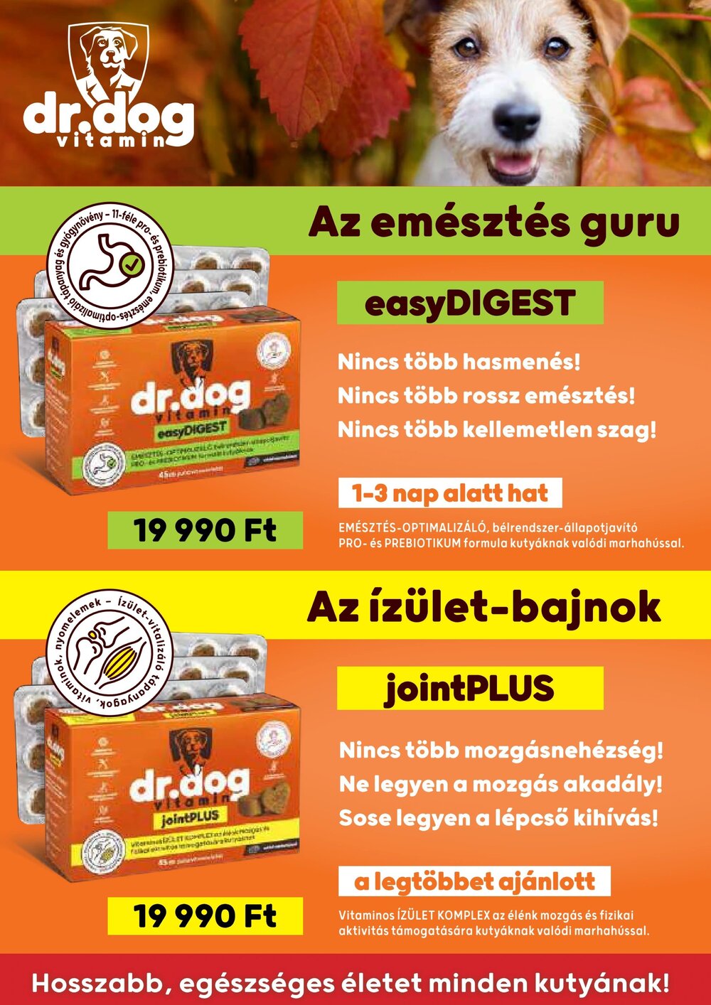 AlphaZoo akciós újság 2026.09.11-től - 20. oldal.