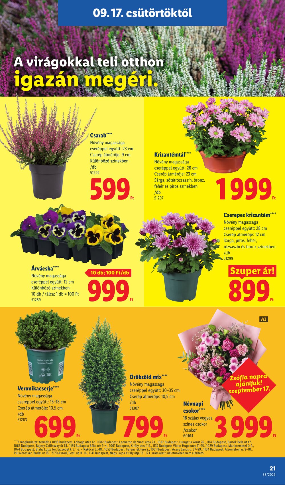 Lidl akciós újság 2026.09.17-től - 21. oldal.