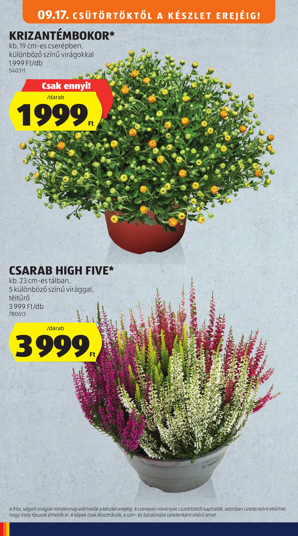 Aldi akciós újság 2026.09.17-től - 32. oldal.