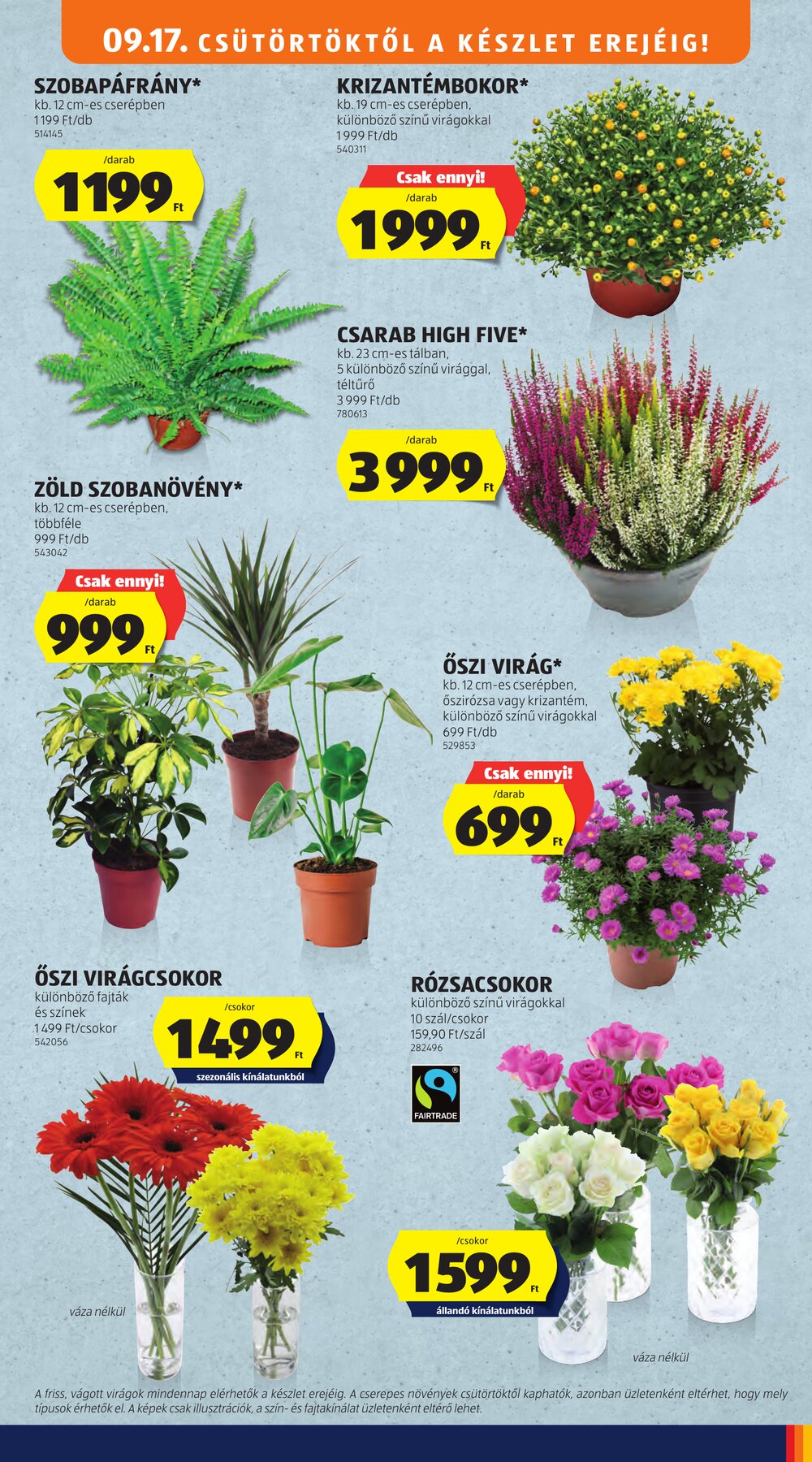 Aldi akciós újság 2026.09.17-től - 35. oldal.