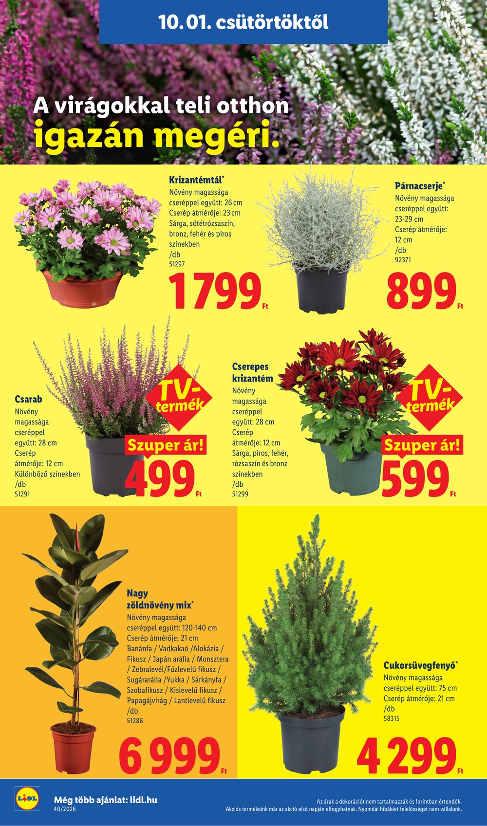 Lidl akciós újság 2026.10.01-től - 26. oldal.
