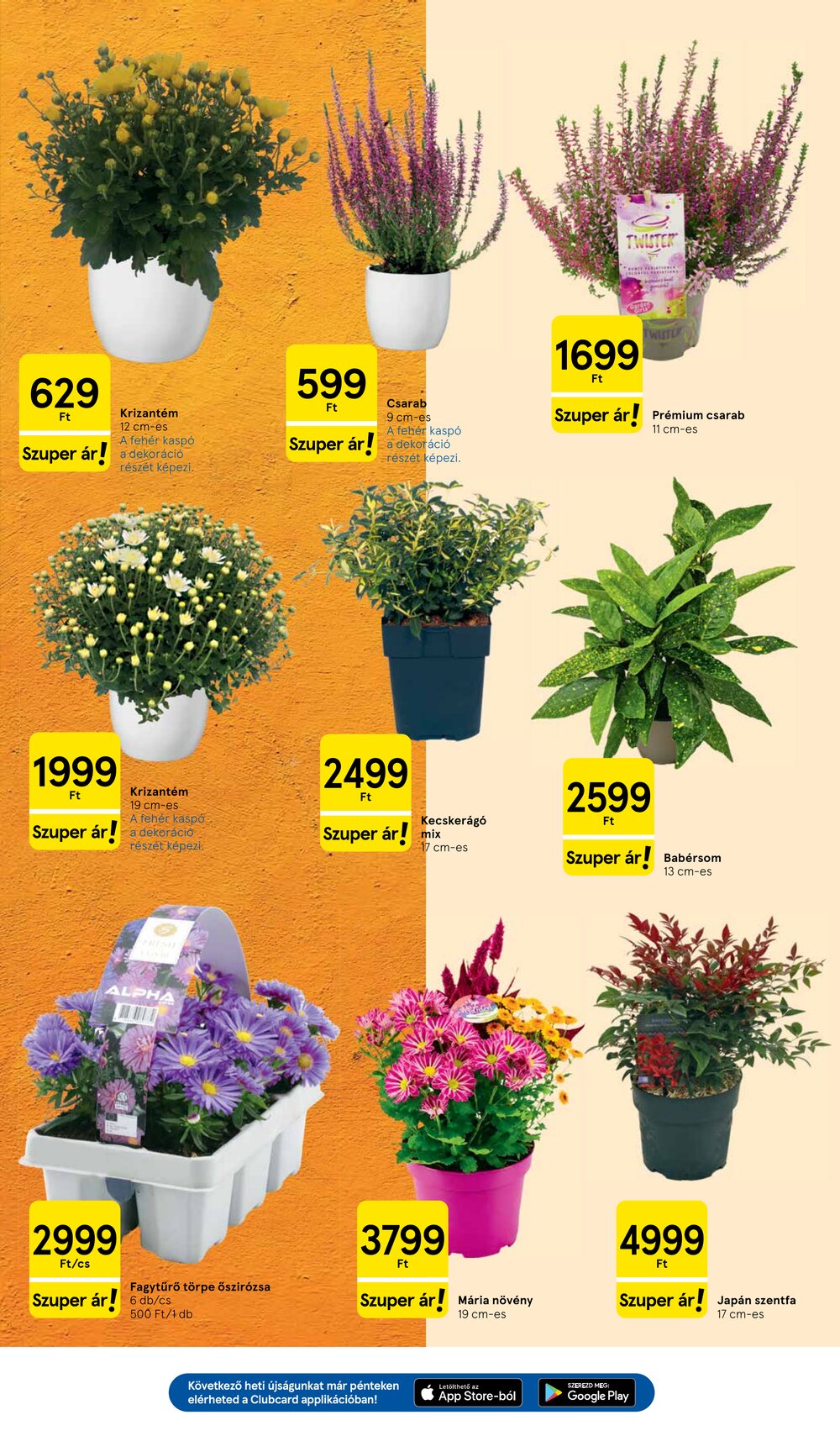 Tesco akciós újság 2026.10.01-től - 19. oldal.