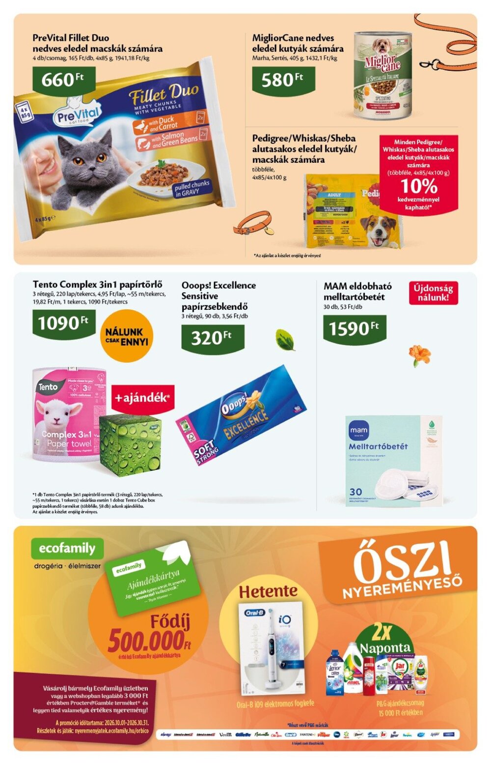 EcoFamily akciós újság 2026.10.01-től - 19. oldal.