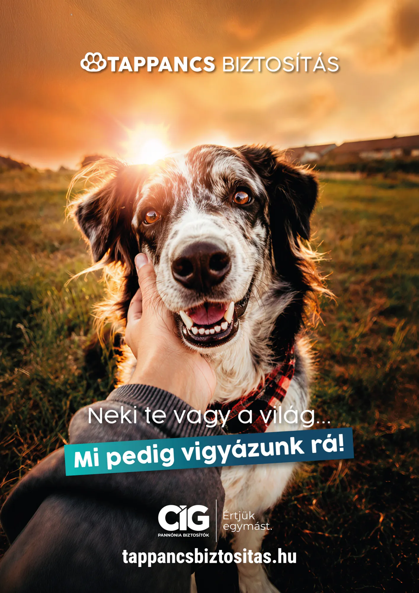 AlphaZoo akciós újság 2026.10.01-től - 15. oldal.