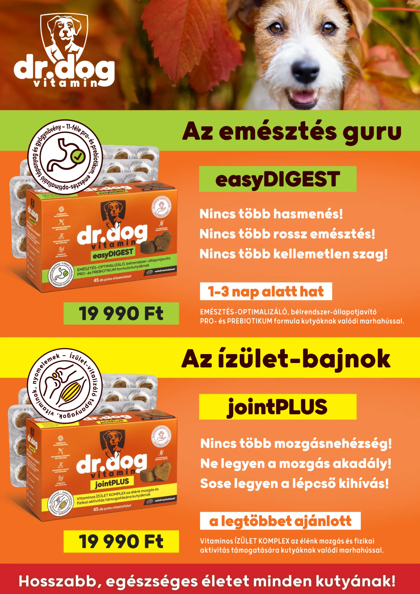 AlphaZoo akciós újság 2026.10.01-től - 21. oldal.