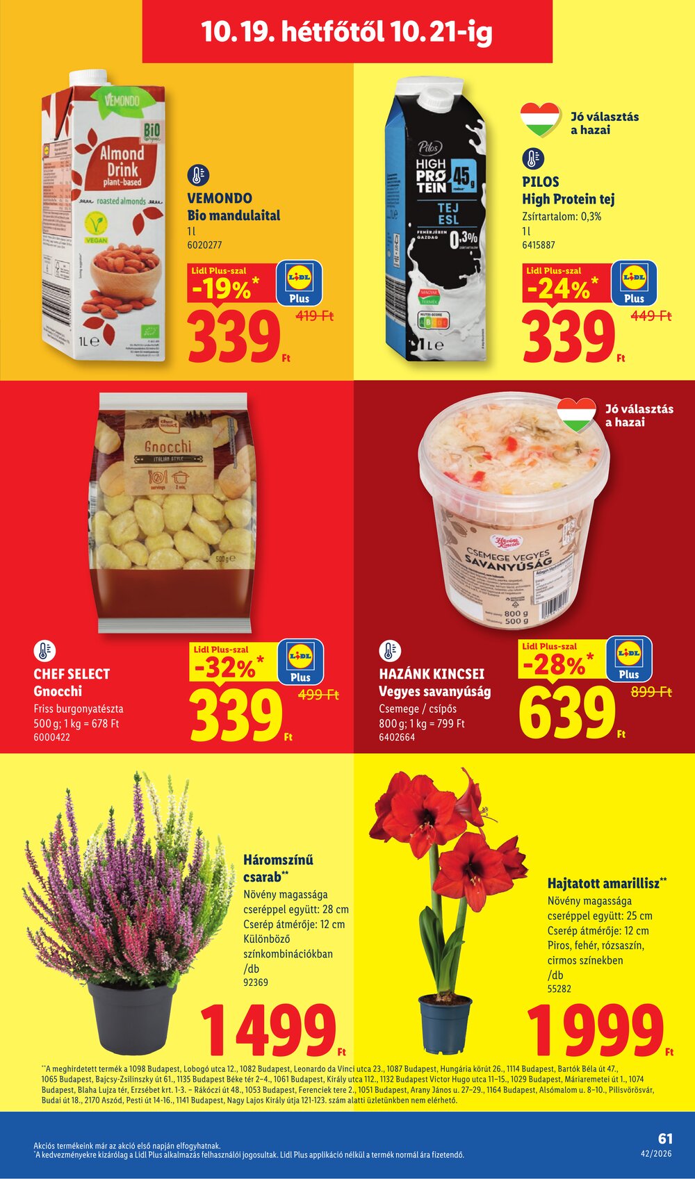 Lidl akciós újság 2026.10.15-től - 61. oldal.