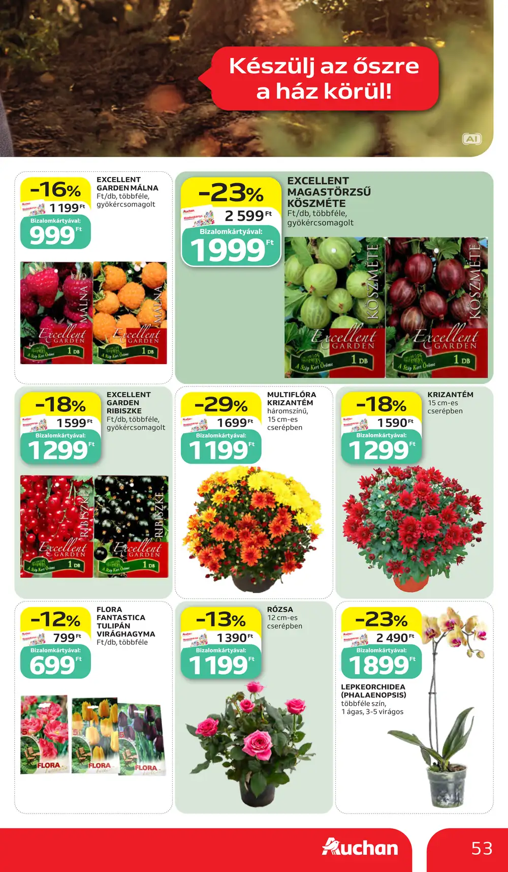 Auchan akciós újság 2026.10.15-től - 53. oldal.
