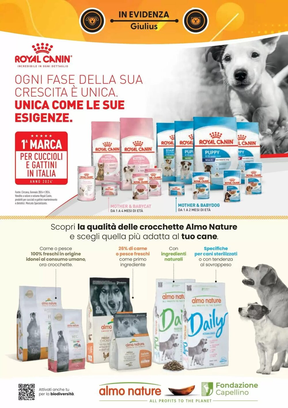 Volantino promozionale Giulius  valide dal 03/11/2025 - Pagina 2.