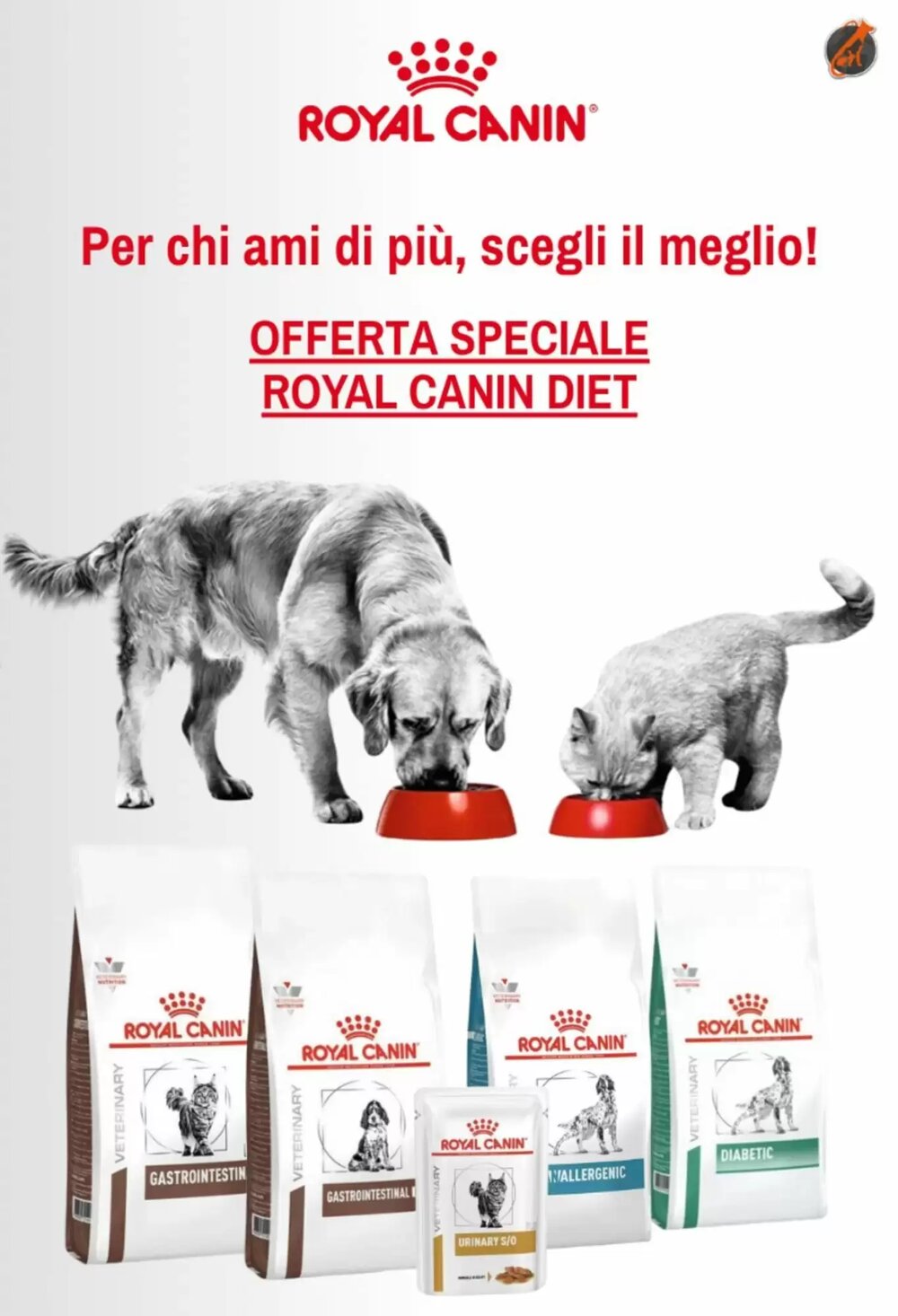 Volantino promozionale Animalmania  valide dal 26/11/2025 - Pagina 4.