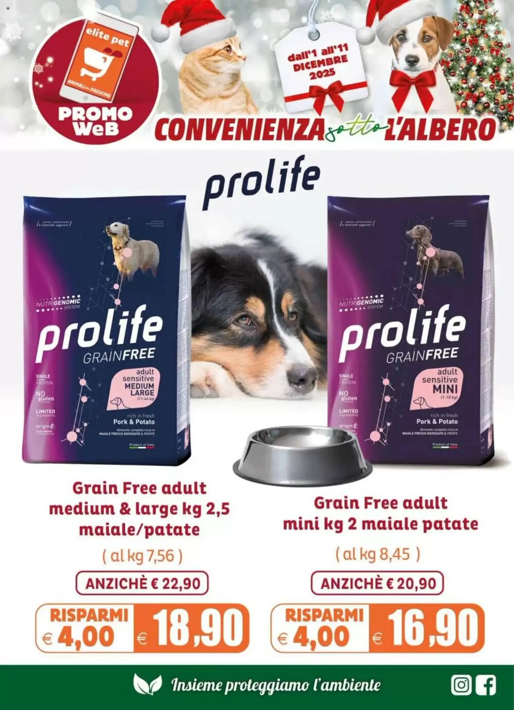 Volantino promozionale Elite  valide dal 01/12/2025 - Pagina 2.