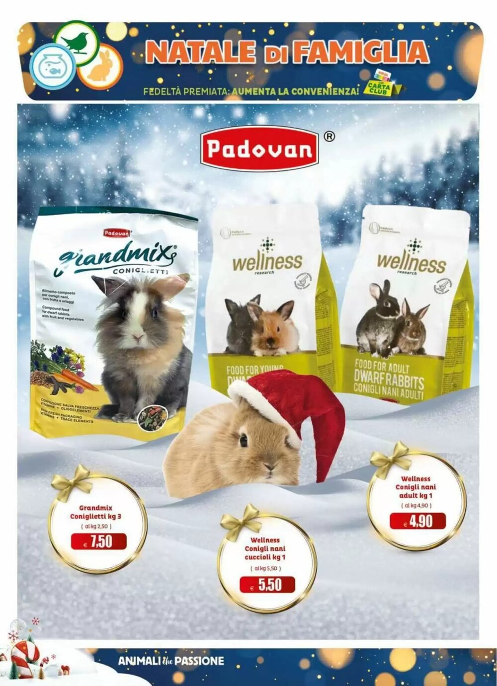 Volantino promozionale Elite Pet  valide dal 12/12/2025 - Pagina 14.