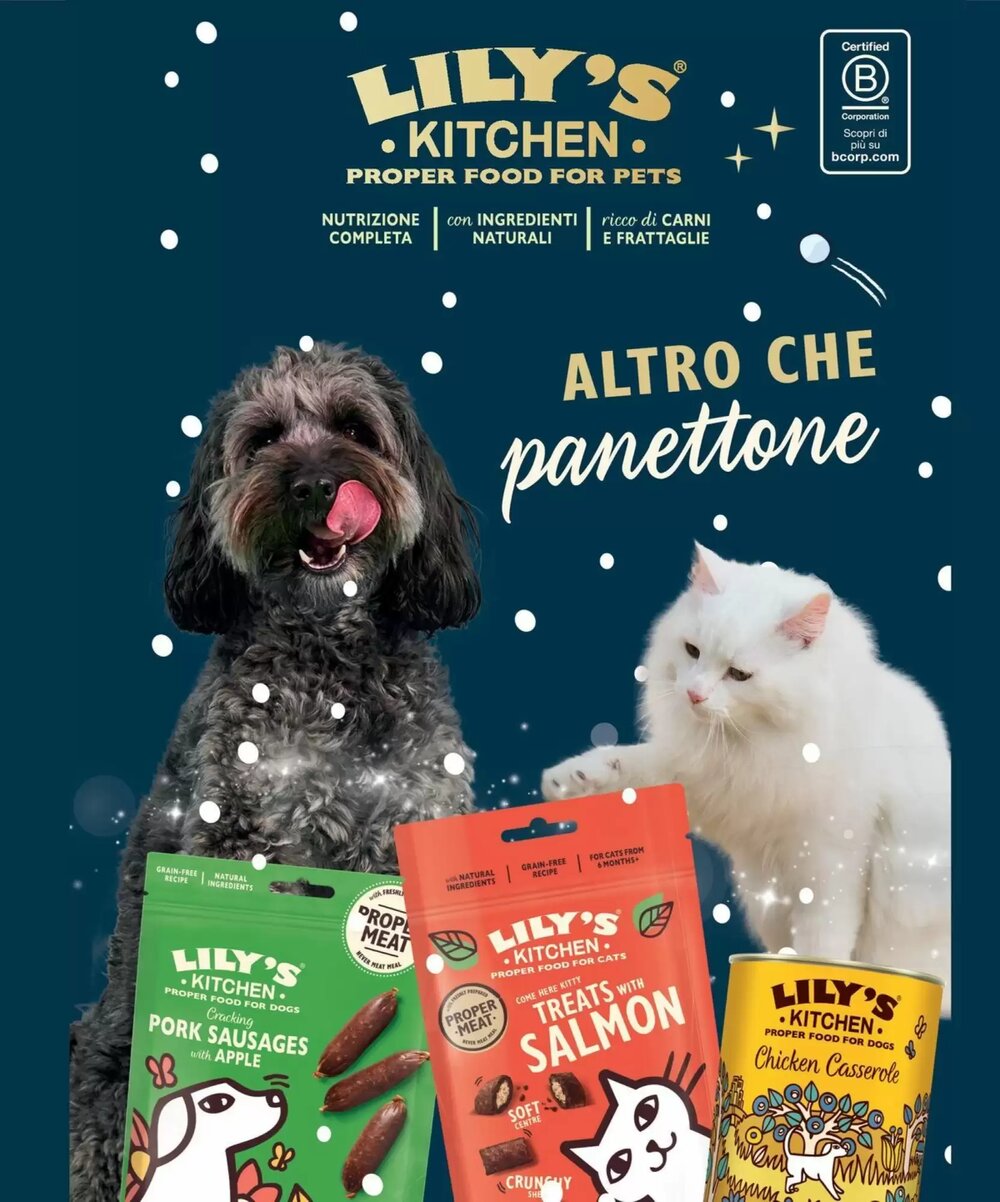 Volantino promozionale Arcaplanet  valide dal 15/12/2025 - Pagina 6.