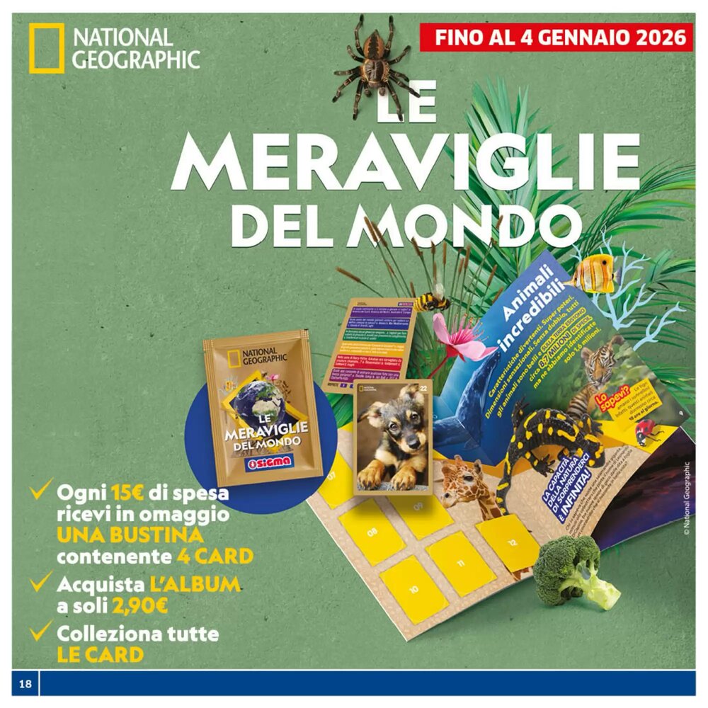 Volantino promozionale Sigma  valide dal 17/12/2025 - Pagina 18.