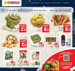 Volantino promozionale Conad valide dal 26/12/2025 - Pagina 17.