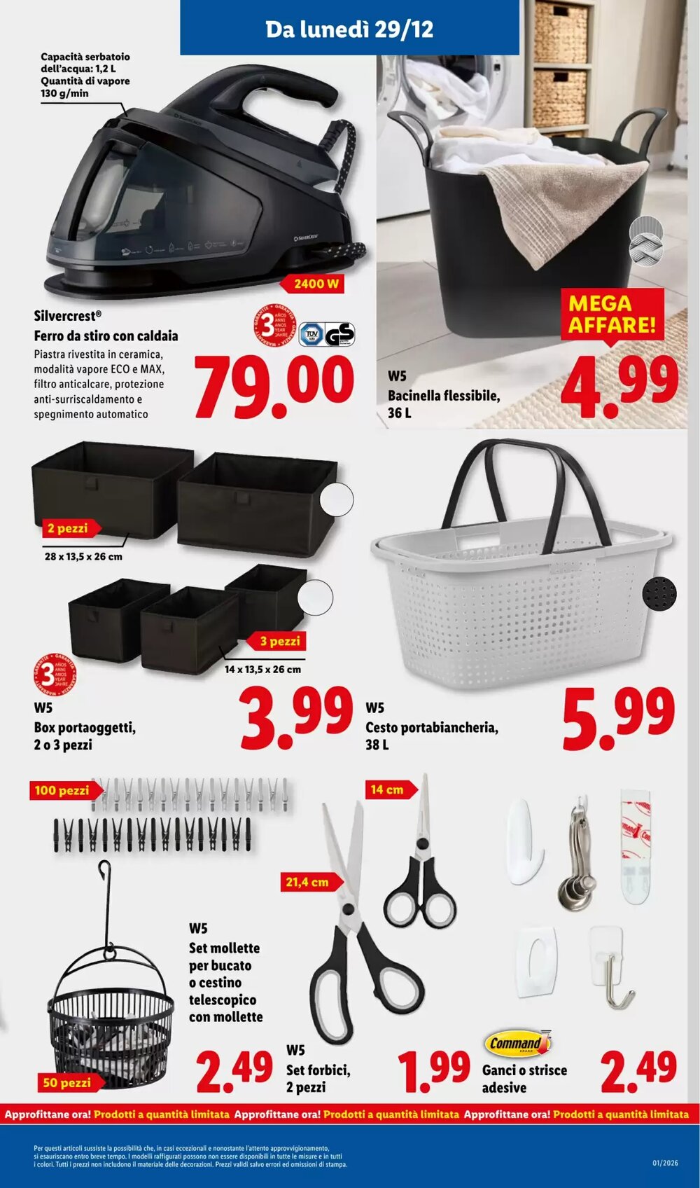 Volantino promozionale Lidl  valide dal 29/12/2025 - Pagina 31.