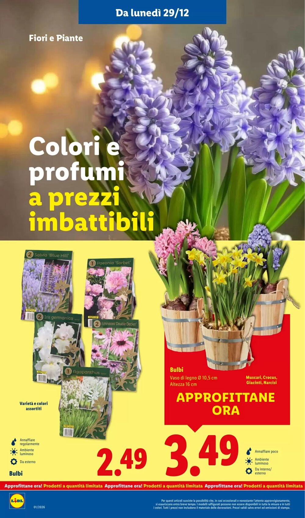 Volantino promozionale Lidl  valide dal 29/12/2025 - Pagina 36.