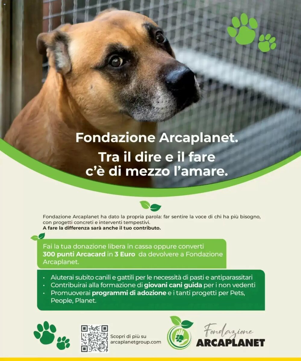 Volantino promozionale Arcaplanet  valide dal 29/12/2025 - Pagina 26.