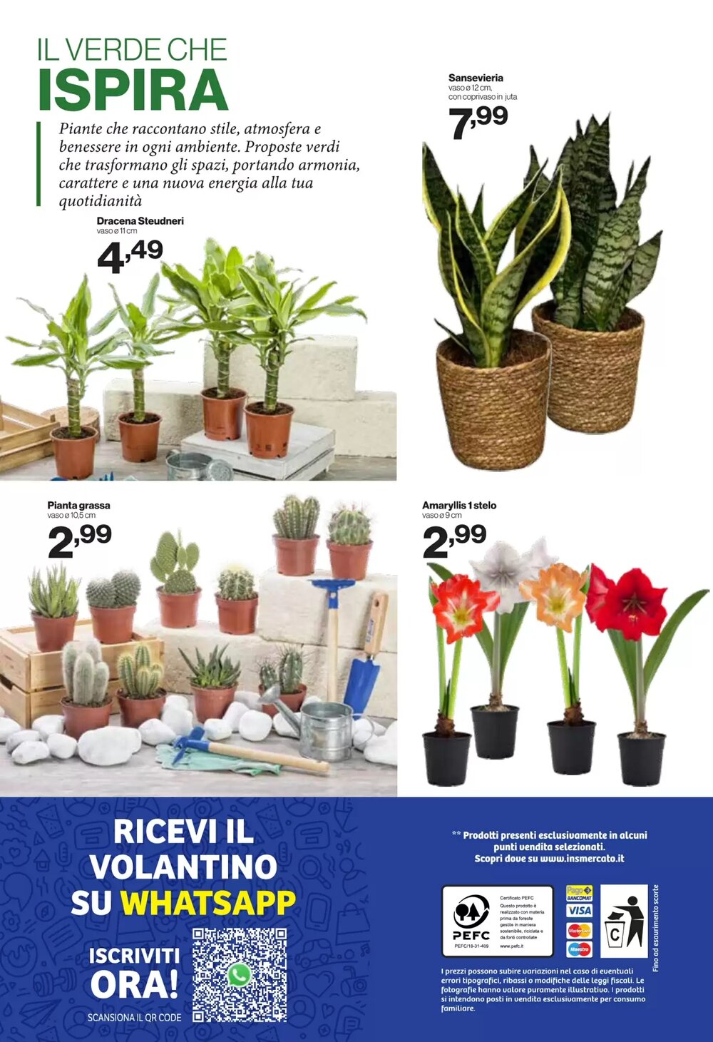 Volantino promozionale iN's Mercato  valide dal 31/12/2025 - Pagina 24.