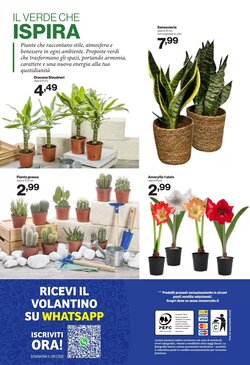 Volantino promozionale iN's Mercato  valide dal 31/12/2025 - Pagina 24.