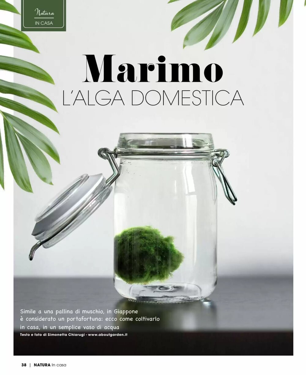 Volantino promozionale A&o  valide dal 01/01/2026 - Pagina 39.