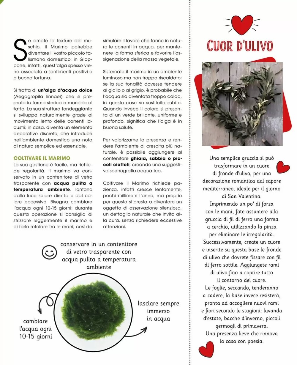 Volantino promozionale A&o  valide dal 01/01/2026 - Pagina 40.
