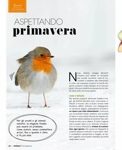 Volantino promozionale A&o  valide dal 01/01/2026 - Pagina 45.