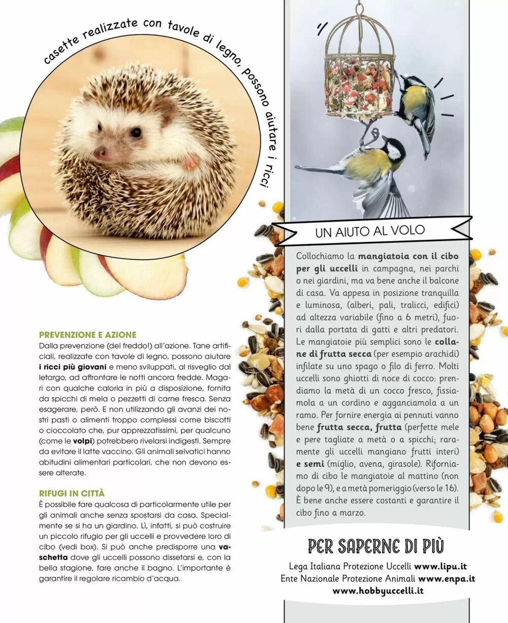 Volantino promozionale A&o  valide dal 01/01/2026 - Pagina 46.