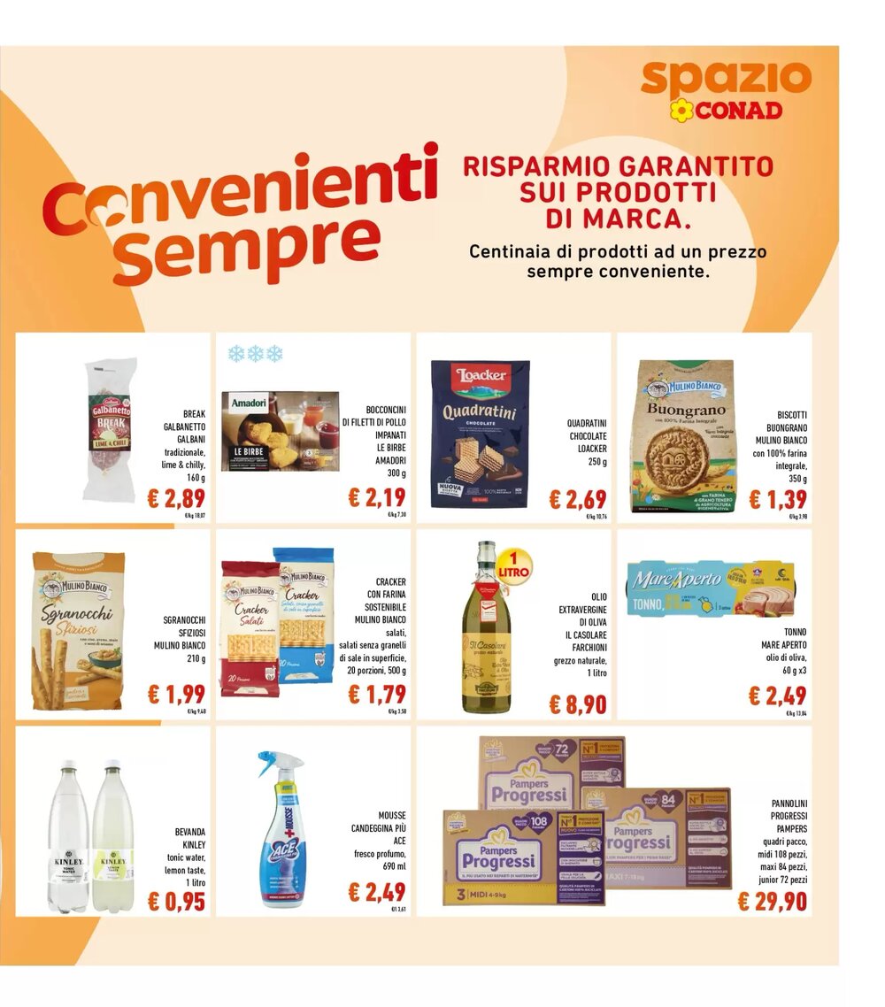 Volantino promozionale Spazio Conad  valide dal 02/01/2026 - Pagina 17.