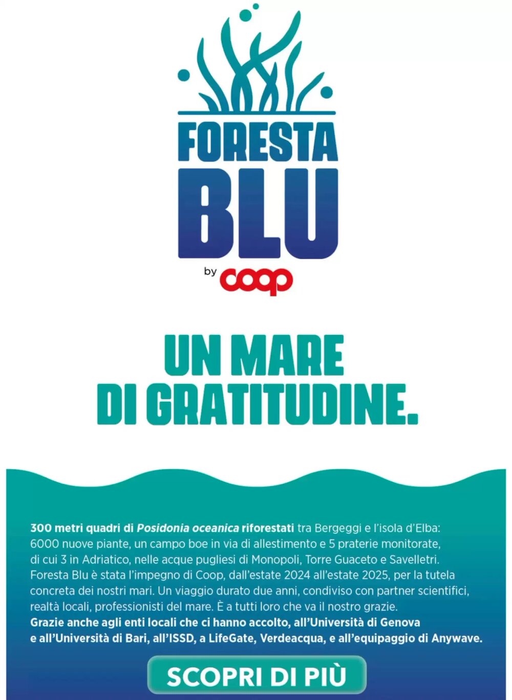 Volantino promozionale Ipercoop valide dal 02/01/2026 - Pagina 13.