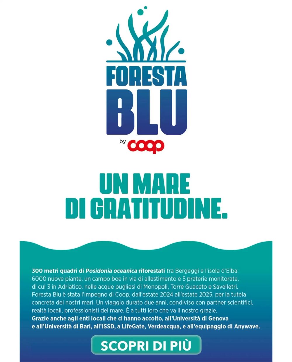 Volantino promozionale Ipercoop  valide dal 02/01/2026 - Pagina 35.